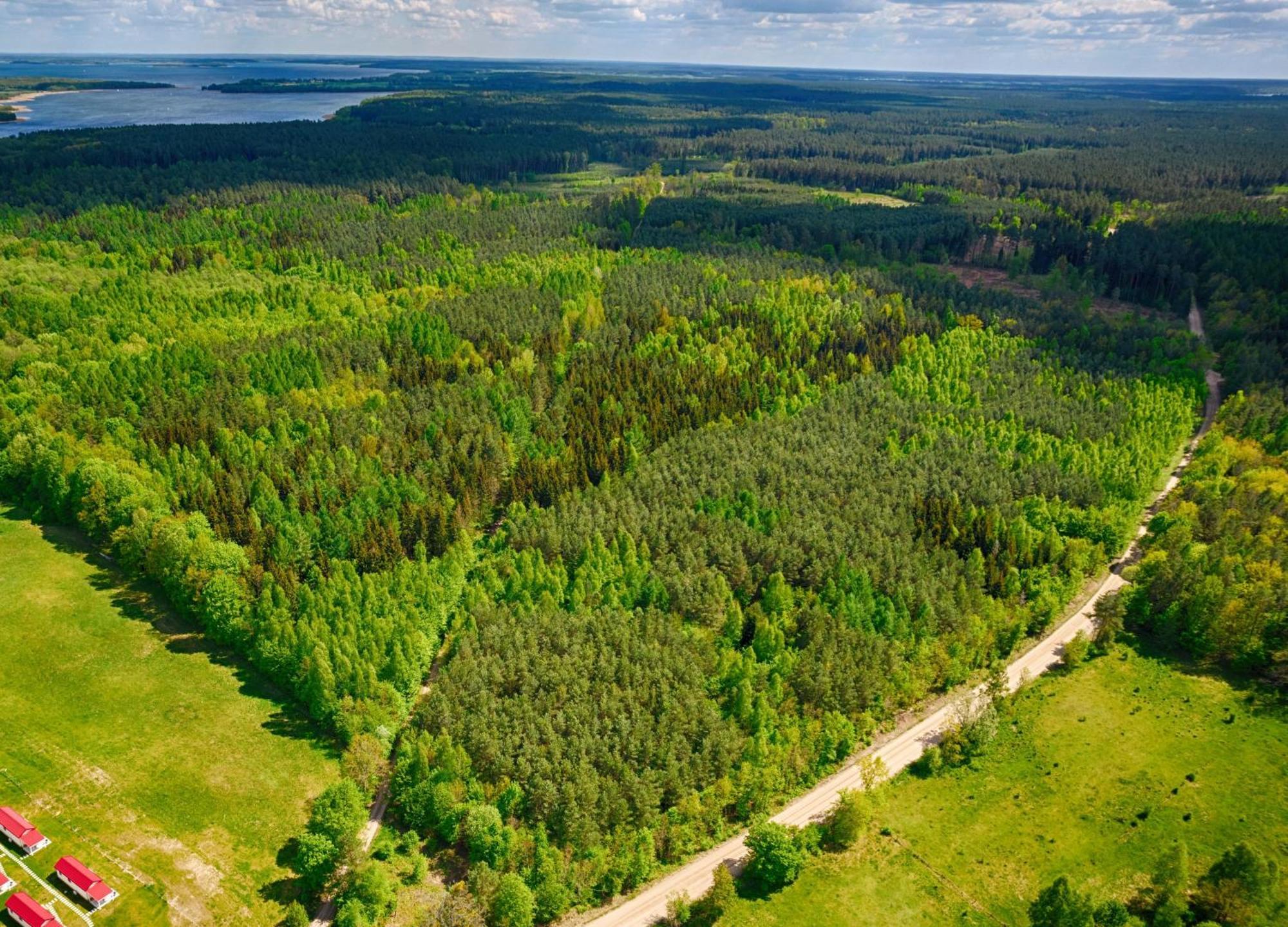 Osada Wilaneska Domki Mikolajki Mazury מראה חיצוני תמונה